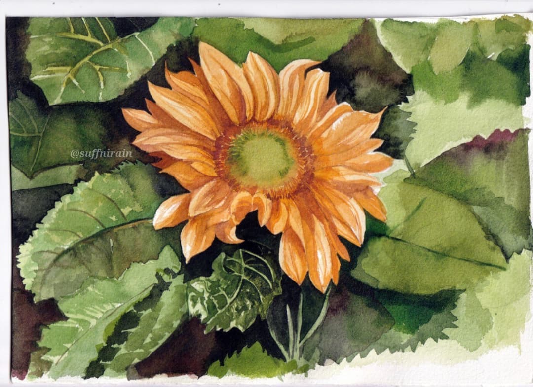 Taking a break after finishing inktober. Here is my recent watercolor that I made last September. It's still not finished tho. 😅
.
Now, what's next? Florals? Fish? Food? Something else? Hmmm. 
.
#suffnirain #watercolor #watercolorph #sunflower #artph #mijello #mijellomissiongold #sunflower