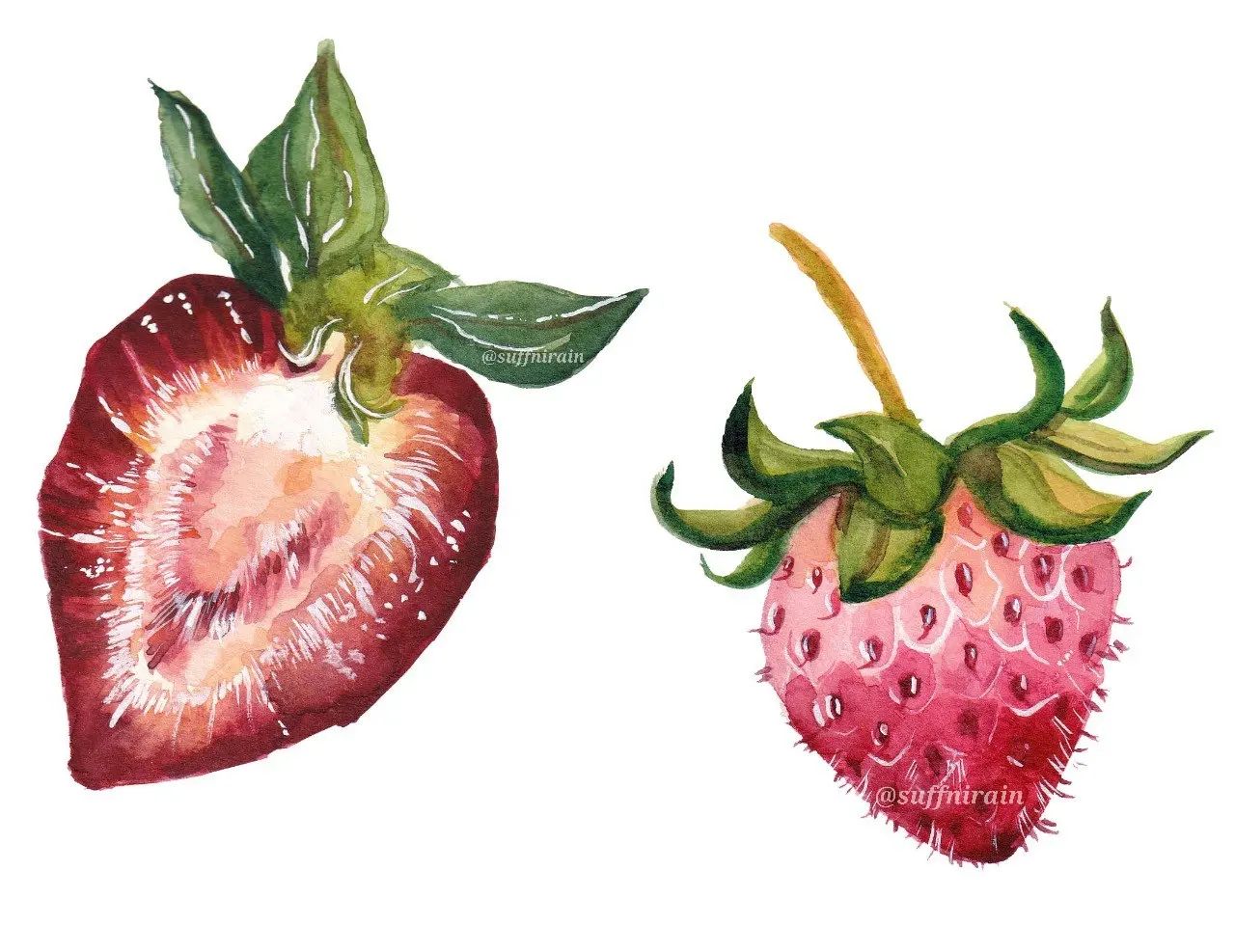 🍓🍓🍓
.
#suffnirain #watercolor #watercolorph #artph #mijello #mijellomissiongold #strawberry #foodillustrationph #foodillustration